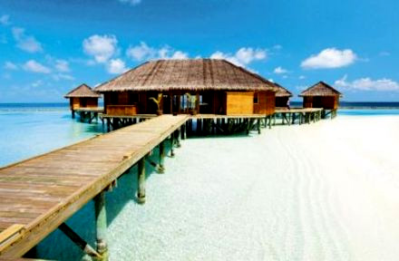 فندق فاكاروفالحي آيلاند ريزورت في المالديف - Vakarufalhi Island Resort