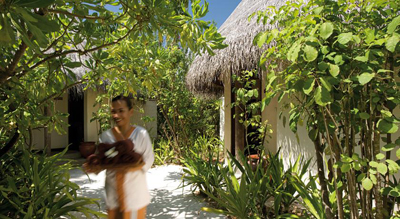 فندق كوكو بالم دهوني كولهي في جزر المالديف -  Coco Palm Dhuni Kolhu
