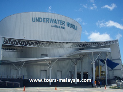 عالم ما تحت الماء جزيرة لنكاوي ماليزيا 